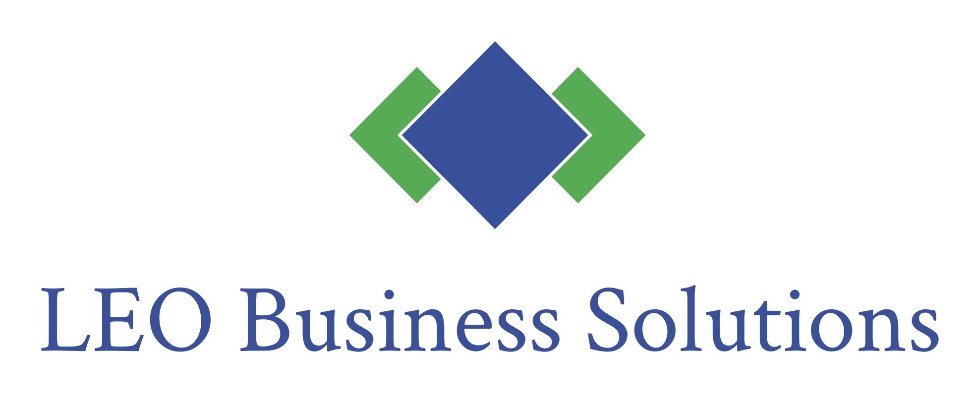 LEO Business Solutions LLC